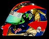 Helmet 2014.jpg