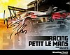 Card 2017 Petit Le Mans (S).jpg