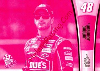2013 Pass-1-Pink.JPG