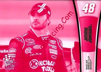 2013 Pass-2-Pink.JPG