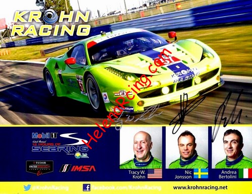 Card 2014 Sebring 12 h (S).JPG