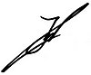 Autograph.jpg