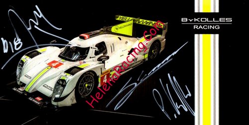Card 2015 WEC-LMP1 (S).jpg