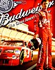 Card 2009 Sprint Cup-Budweiser (NS).jpg