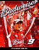 Card 2010 Sprint Cup-Budweiser (NS).jpg
