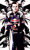 Card 2011 Sprint Cup-Red Bull (NS).JPG