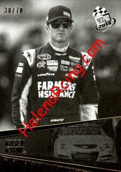 2014 Pass-Black.JPG