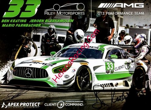 Card 2017 Petit Le Mans (S).jpg