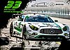Card 2018 IMSA-GTD (S).jpg