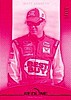 2012 Red Line-Pink.JPG