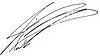 Autograph.jpg