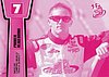 2013 Pass-Pink.jpg