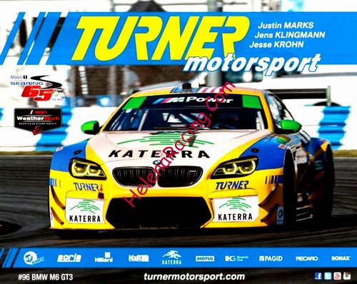 Card 2017 Sebring 12 h (NS).jpg