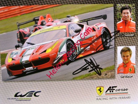 Card 2013 WEC-GTE-2 (S).jpg