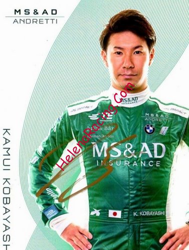 Card 2017 Formula E (S).jpg