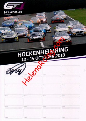 Card 2018 GT4-European (S).jpg