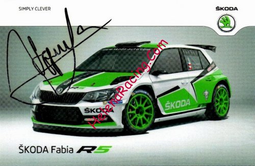 Card 2015 WRC (S)-.jpg