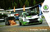 Card 2020 WRC (NS)-.jpg