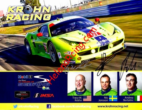 Card 2014 Sebring 12 h (S).JPG