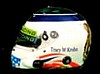 Helmet 2010.jpg