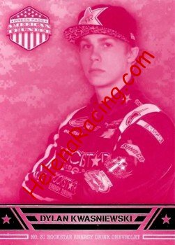 2014 Thunder-Pink.JPG