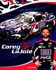 Card 2022 Nascar Cup-USO (NS).jpg