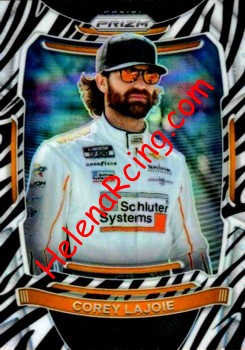2021 Prizm-Zebra.jpg