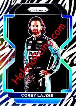 2022 Prizm-Zebra.jpg