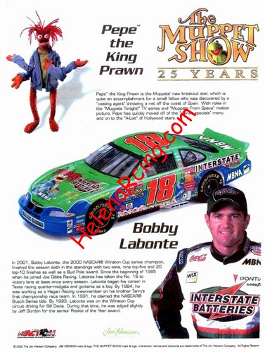 Card 2002 Winston Cup-Muppet (NS).jpg