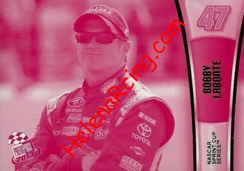 2013 Pass-Pink.JPG