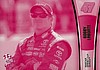 2013 Pass-Pink.JPG