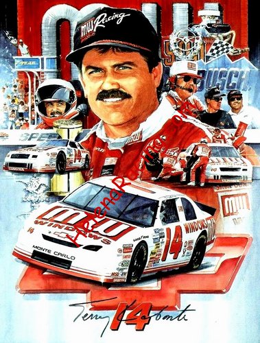 Card 1995 Busch Series (P).jpg