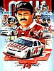 Card 1995 Busch Series (P).jpg