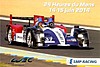 Card 2014 Le Mans 24 h Recto (NS).jpg