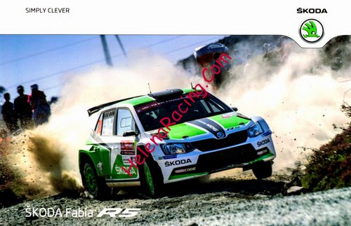 Card 2015 WRC-1 (NS).jpg