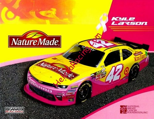Card 2016 XFinity-Nature Made (NS)-.jpg