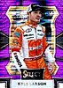 2017 Select-097-Purple.jpg