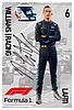 Card 2022 Formula 1 (P).jpg