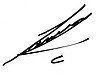 Autograph.jpg
