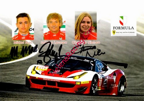 Card 2016 ELMS-GTE (S)-.jpg