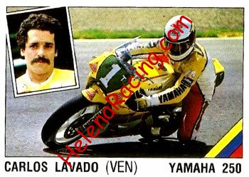 1989 Panini.JPG