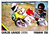 1986 Panini.JPG