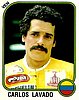 1987 Panini.jpg