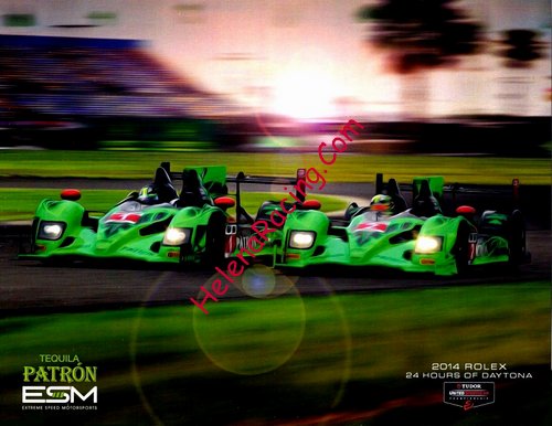 Card 2014 Daytona 24 h (NS).JPG