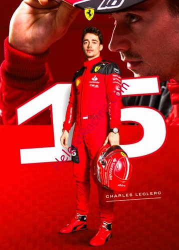 Card 2023 Formula 1 (NS).jpg