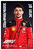 Card 2023 Formula 1 (P).jpg