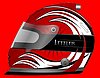 Helmet 2009.jpg