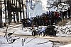 Card 2020 WRC-3 (S).jpg
