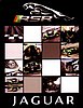 Card 2010 ALMS-GT2 (NS).jpg