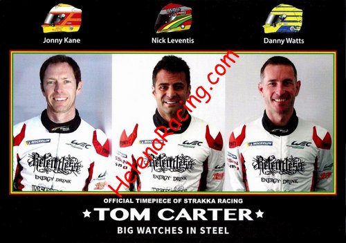Card 2015 Le Mans 24 h Verso (NS).jpg
